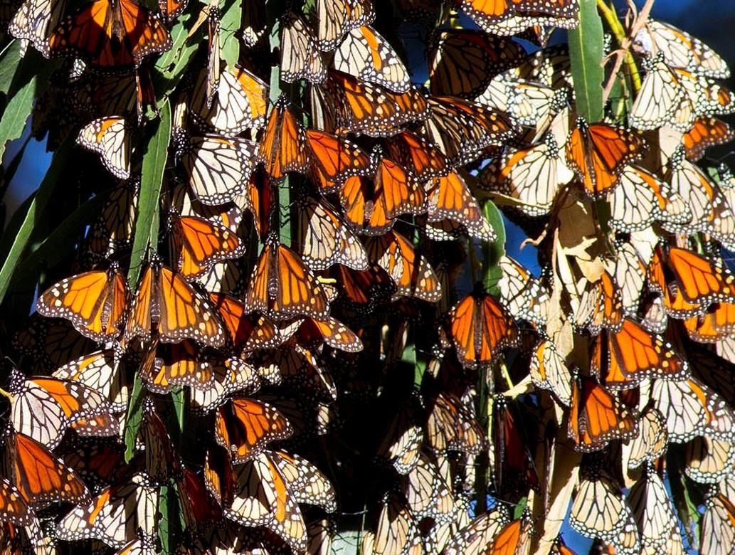 Things to Do in Pismo Beach